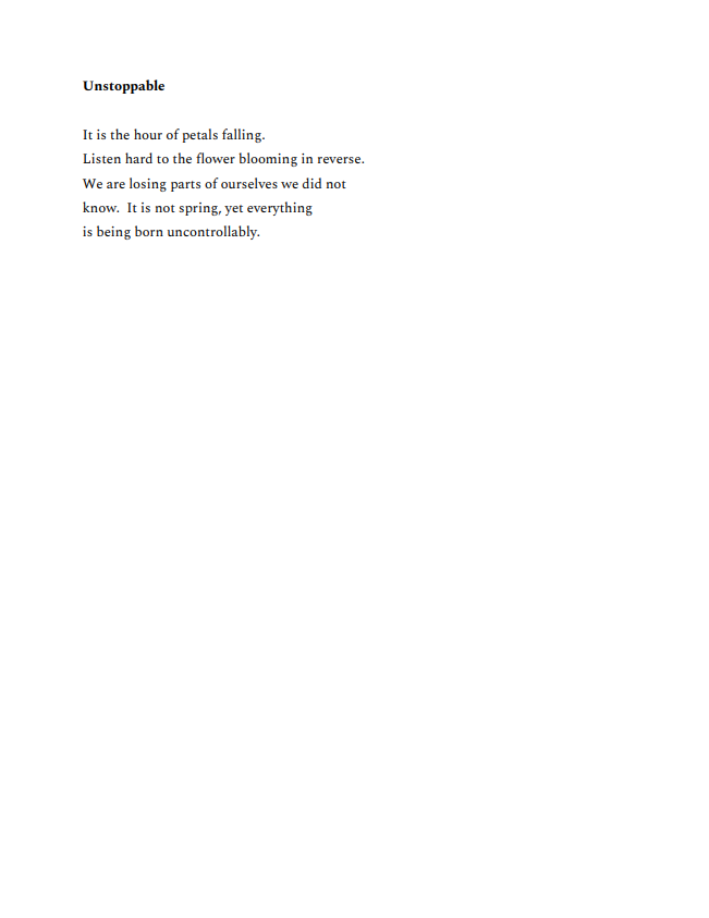 Unstoppable by Tzvi Mayer. Click linked image for accessible PDF of all 4 poems